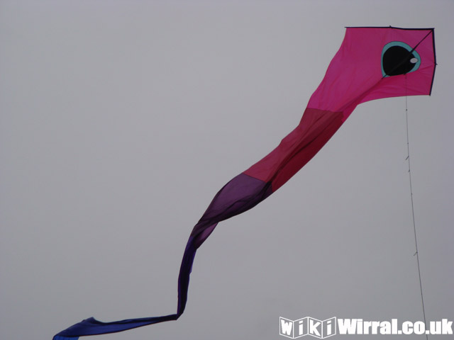 Attached picture Kite 9.jpg